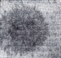 Рис. 1. Снимок солнечного пятна, полученный 30 июня 1970 г. на советской стратосферной обсерватории.