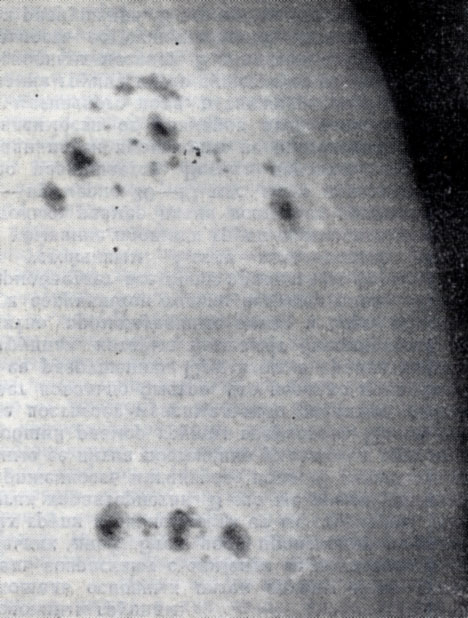 Рис. 2. Фотосферные факелы с группами солнечных пятен 30 августа 1980 г. (Горная астрономическая станция ГАО АН СССР).