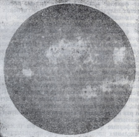 Рис. 3. Солнечный диск в свете линии К ионизированного кальция 10 августа 1960 г. с кальциевыми флоккулами (Горная астрономическая станция ГАО АН СССР).