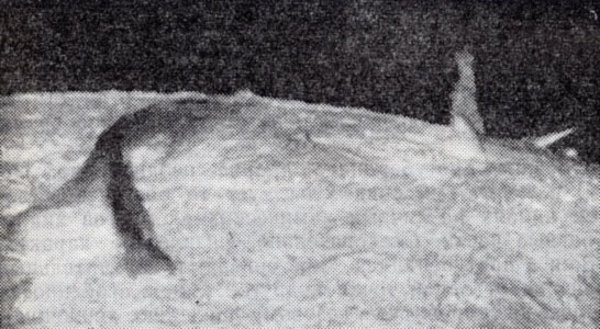 Рис. 6. Возвратный выброс 5 июня 1969 г. в свете линии водорода Hα (Горная астрономическая станция ГАО АН СССР).