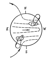 Рис. 17. Возникновение биполярных магнитных областей по гипотезе Х. В. Бэбкока. Штриховые линии показывают направление силовых линий подфотосферного тороидального магнитного поля, образованного из полоидального поля (p - ведущая, а - последующая часть области).